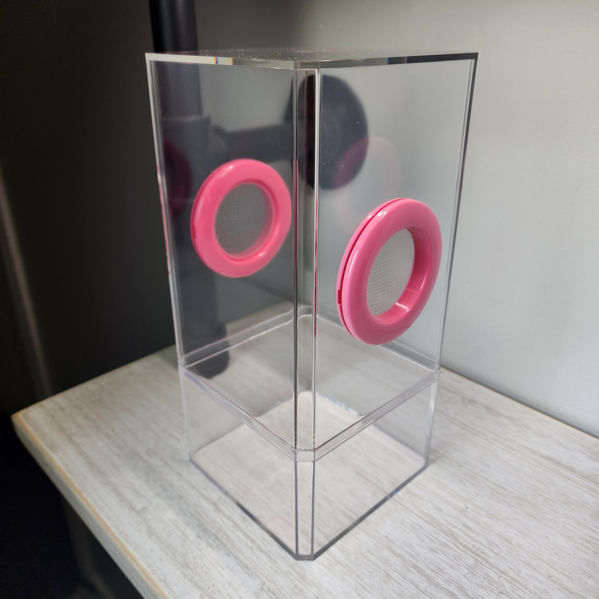 B-STOCK Flat-Top Dual Vent Spider Condo Jumping Spider Enclosure (holds fruit flies)