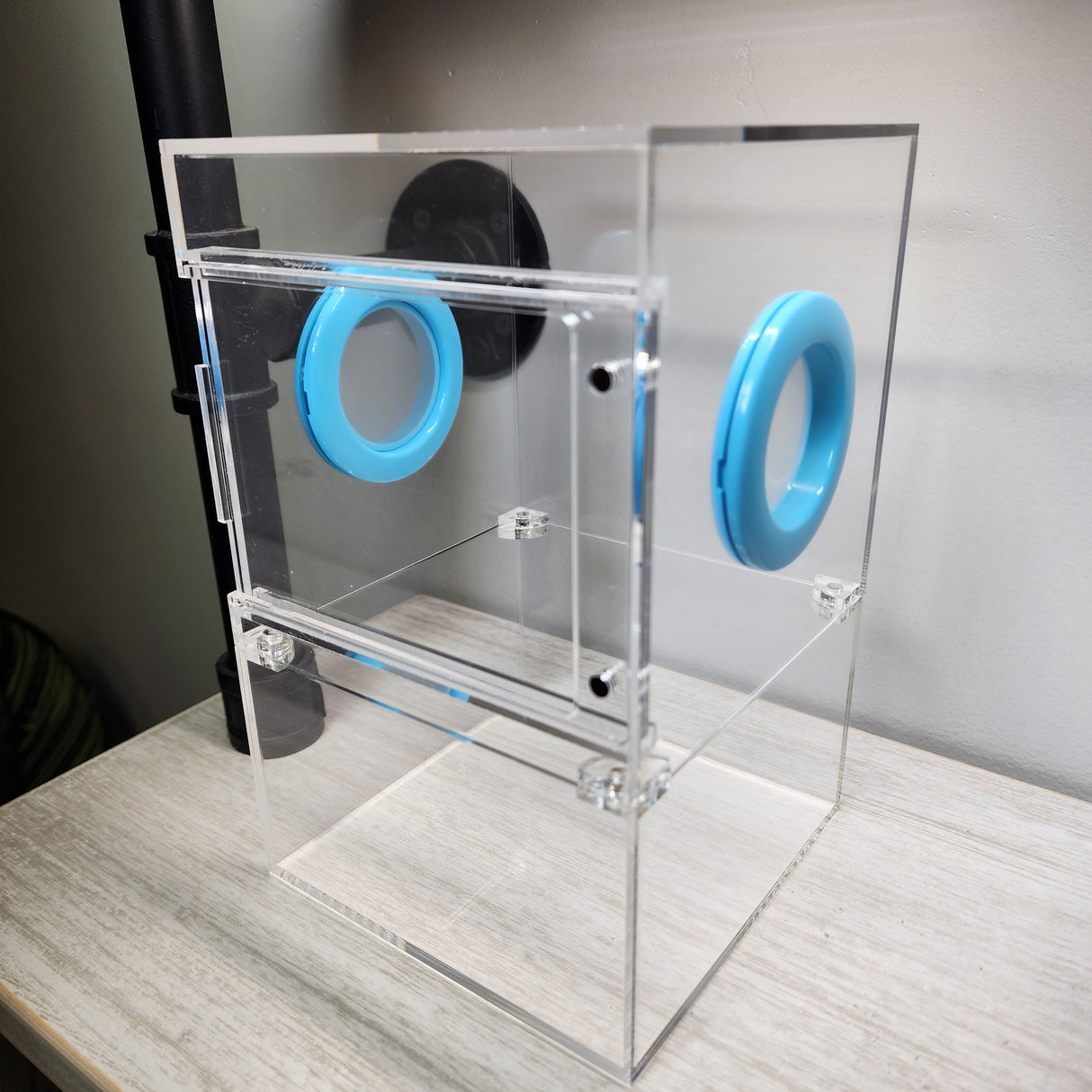 Large Flat Top Magnetic 5x5x8 Front Opening Jumping Spider Enclosure