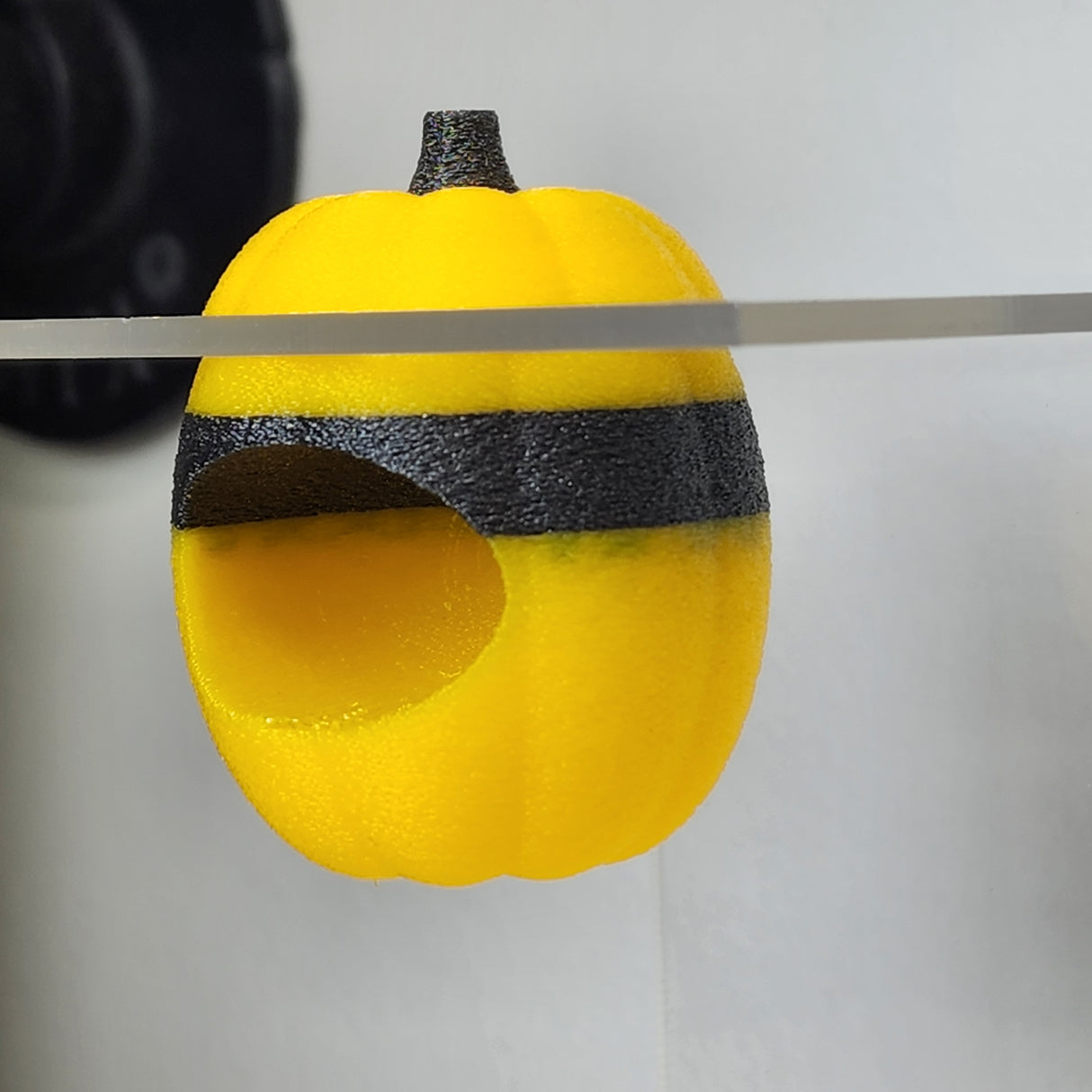 Screaming Pumpkin nesting hides for Jumping Spiders