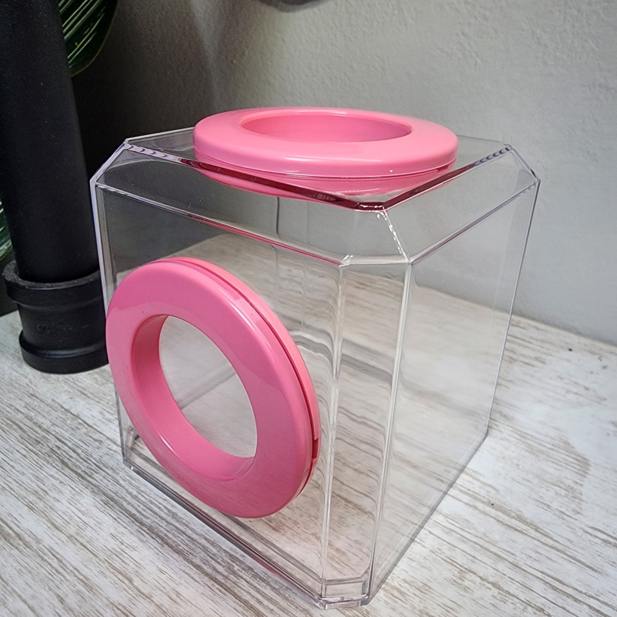 Mini Den Dual Vent 3x3x3 Jumping Spider Enclosure (holds fruit flies)