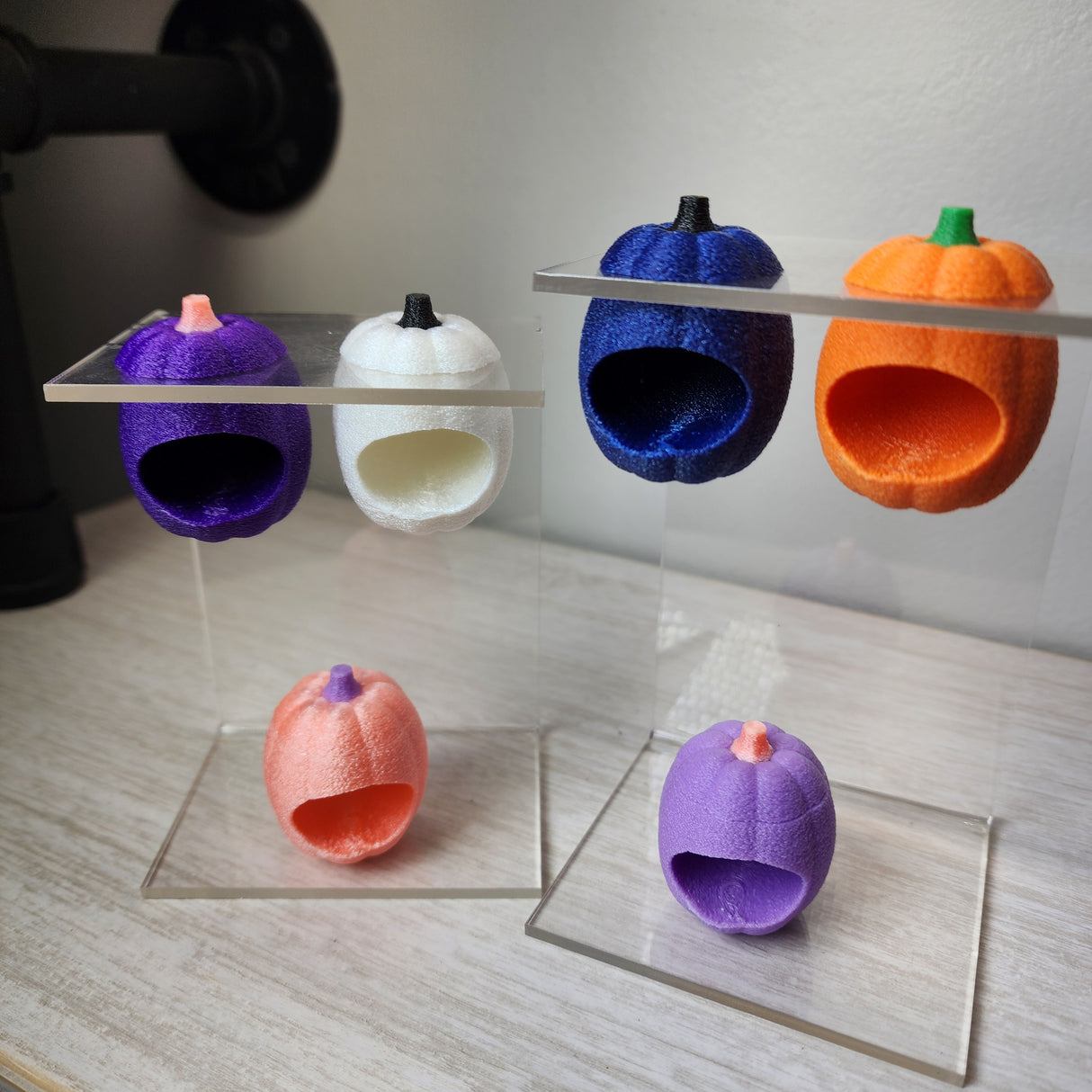 Baby Pumpkin Nesting Hides for Jumping Spiders