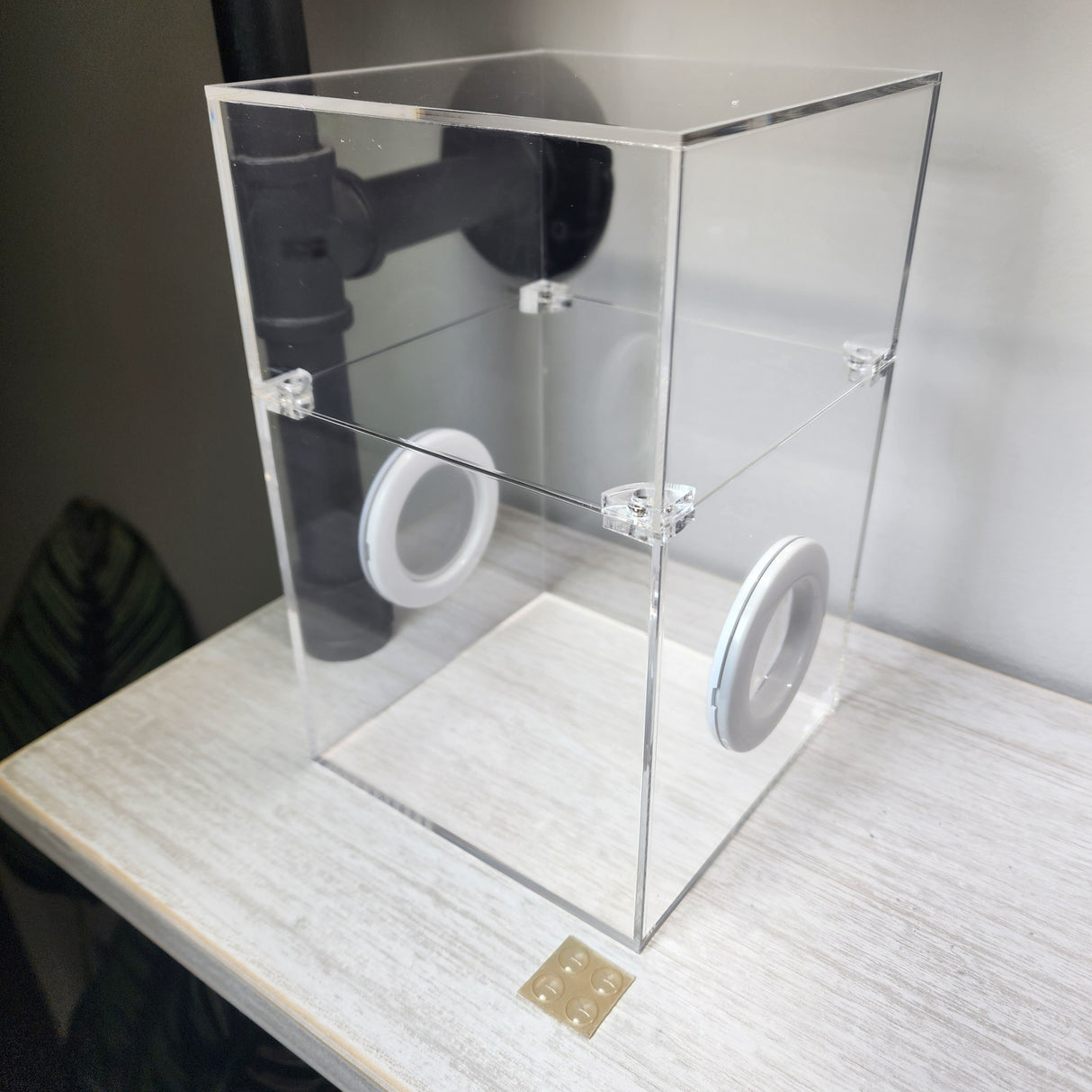 Large Flat Top Magnetic 5x5x8 Jumping Spider Enclosure (holds fruit flies)