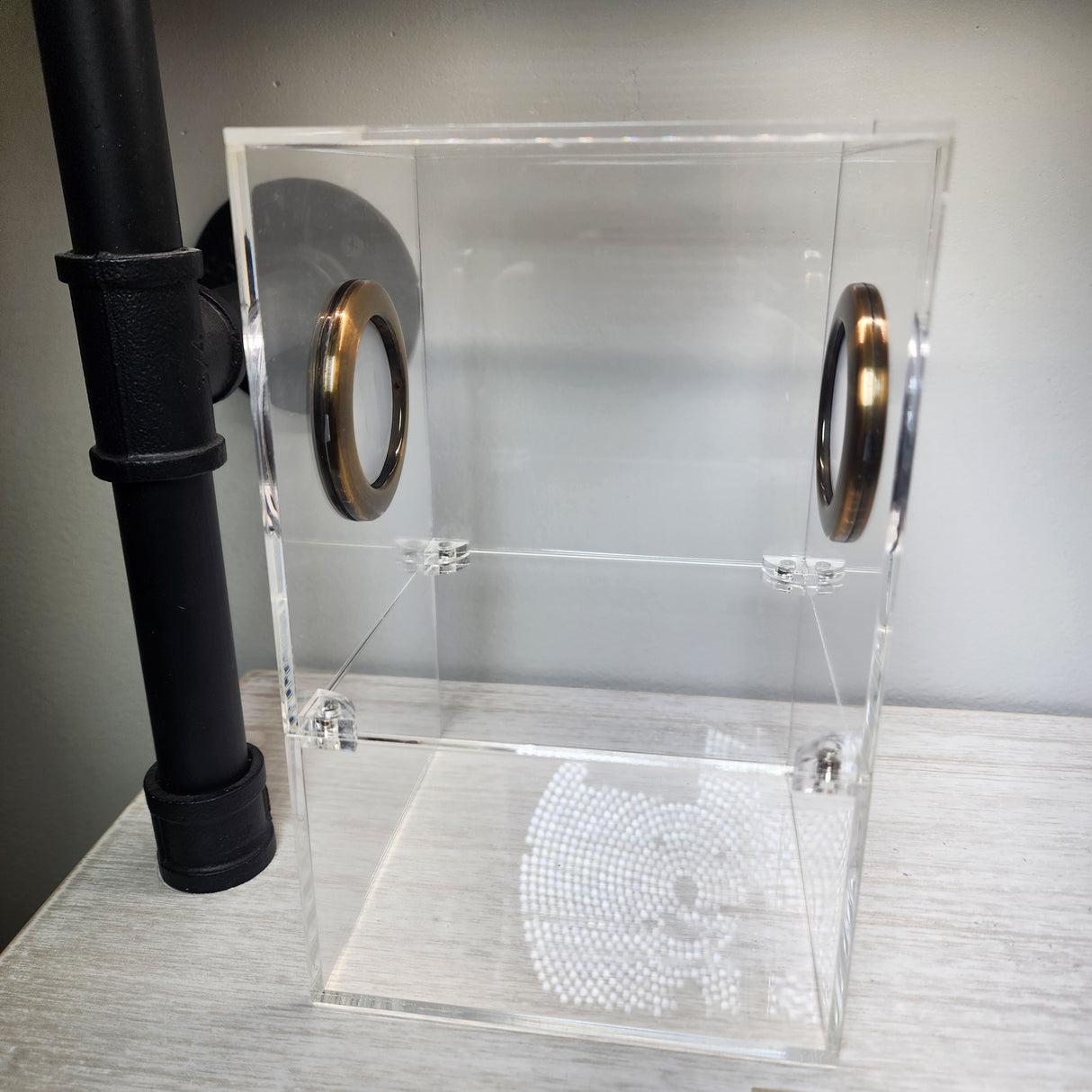 Large Flat Top Magnetic 5x5x8 Jumping Spider Enclosure (holds fruit flies)