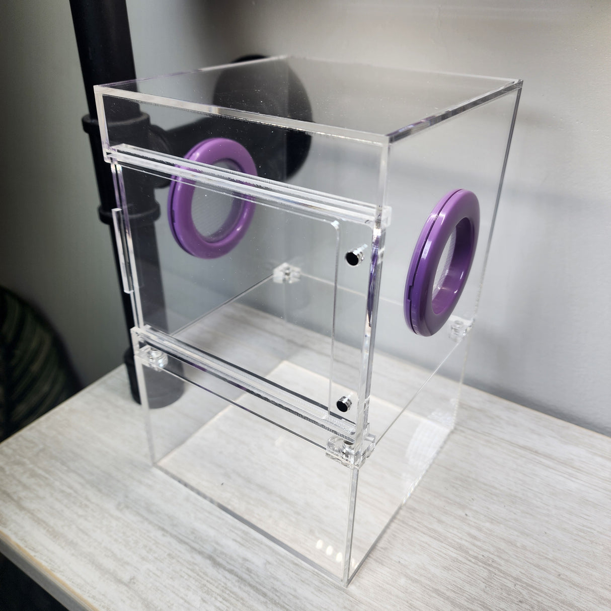 Large Flat Top Magnetic 5x5x8 Front Opening Jumping Spider Enclosure