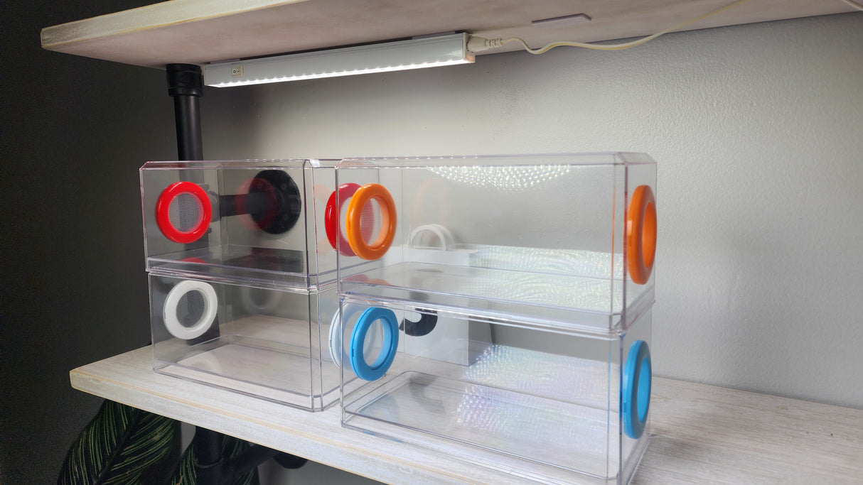 Phid Flat Sling Nursery Jumping Spider Enclosure 8.5x4x4(holds fruit flies)