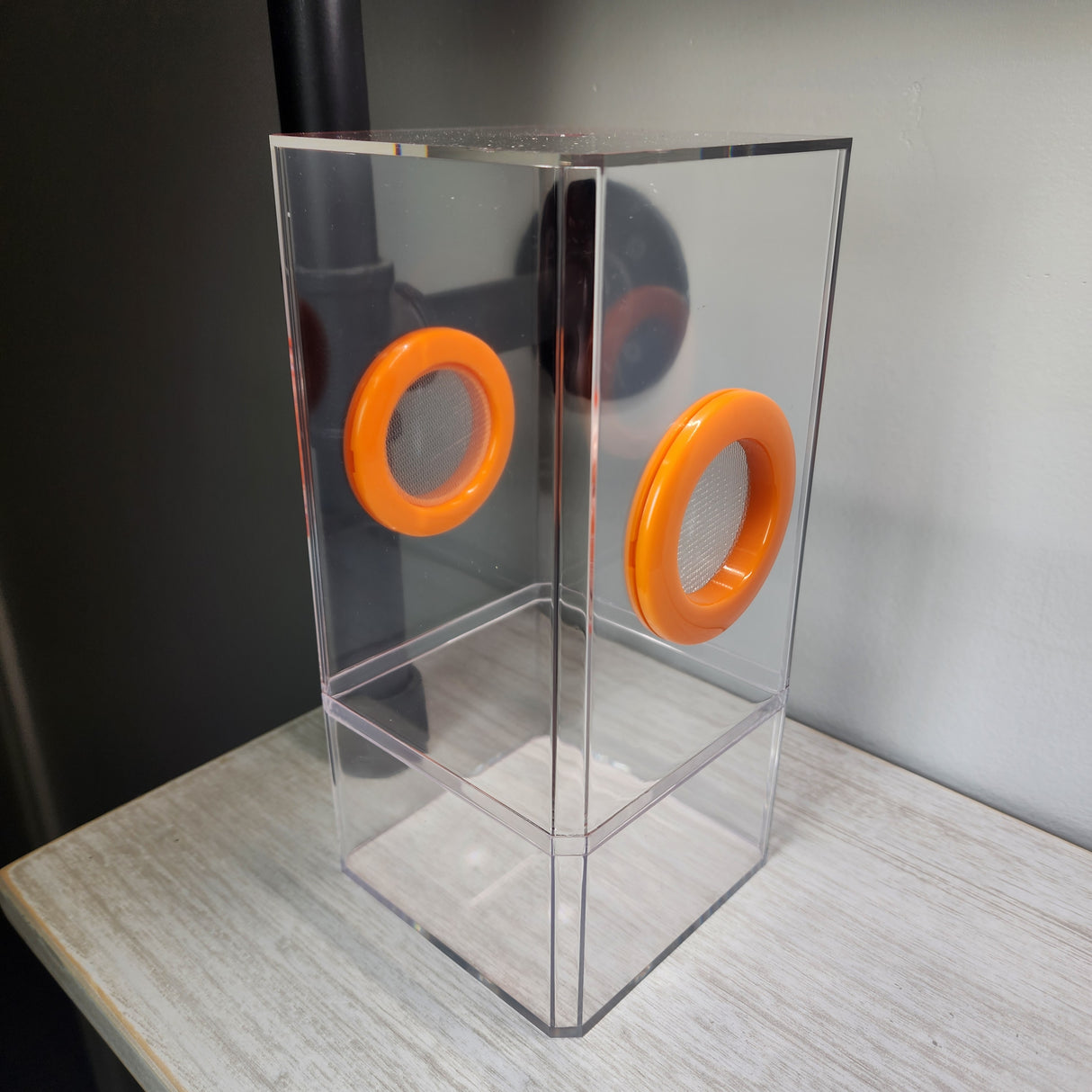 B-STOCK Flat-Top Dual Vent Spider Condo Jumping Spider Enclosure (holds fruit flies)