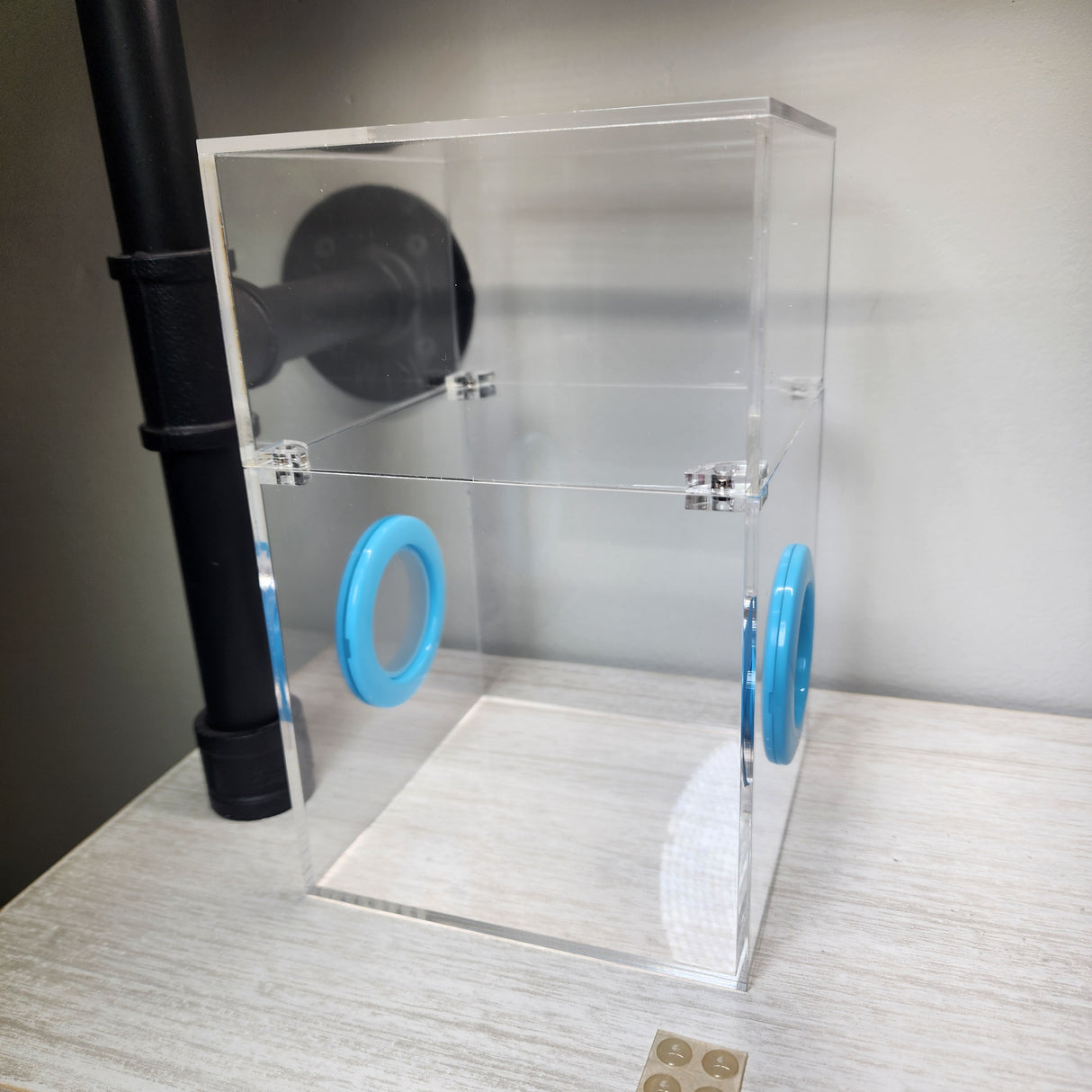 Large Flat Top Magnetic 5x5x8 Jumping Spider Enclosure (holds fruit flies)