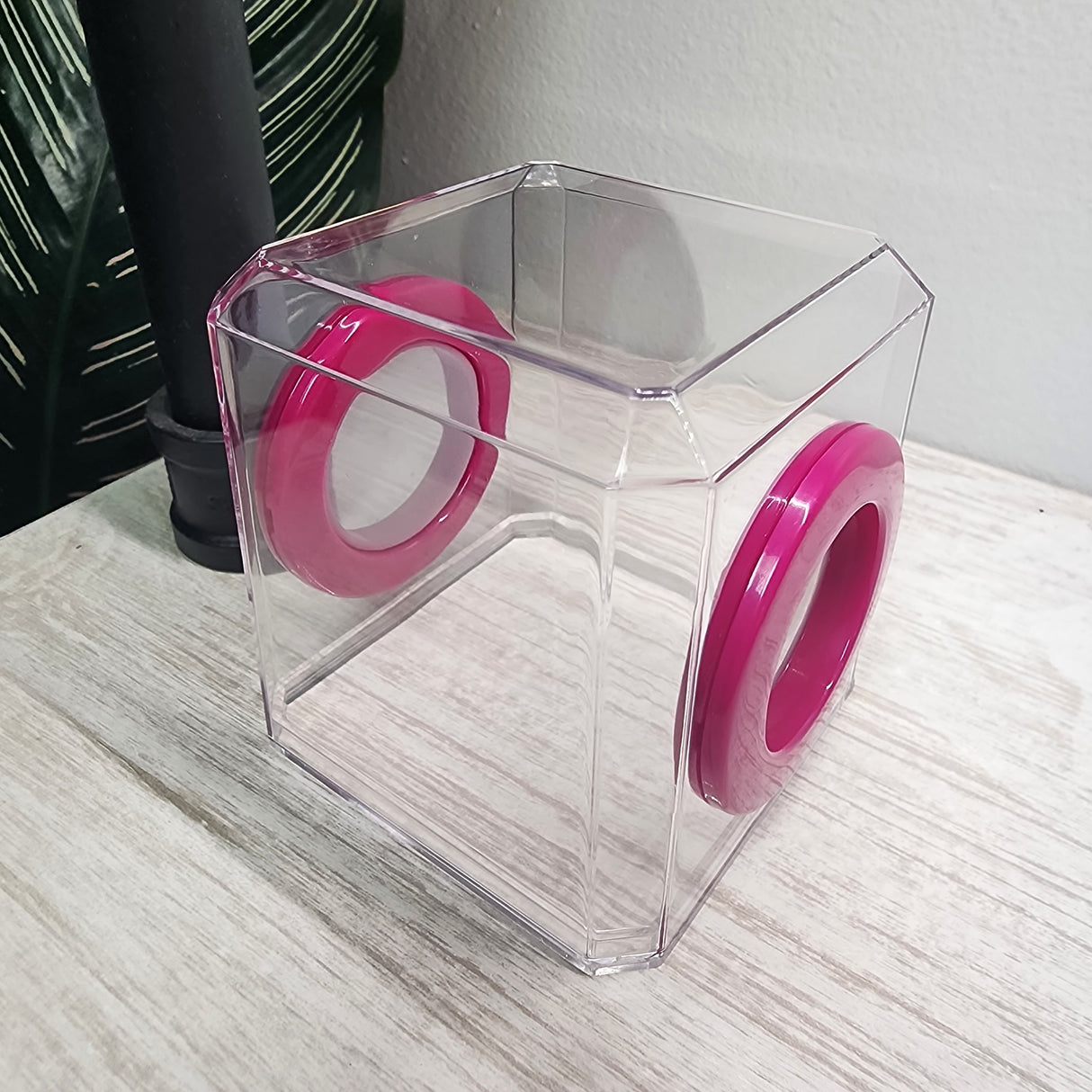 Mini Den Flat Top 3x3x3 Jumping Spider Enclosure (holds fruit flies)