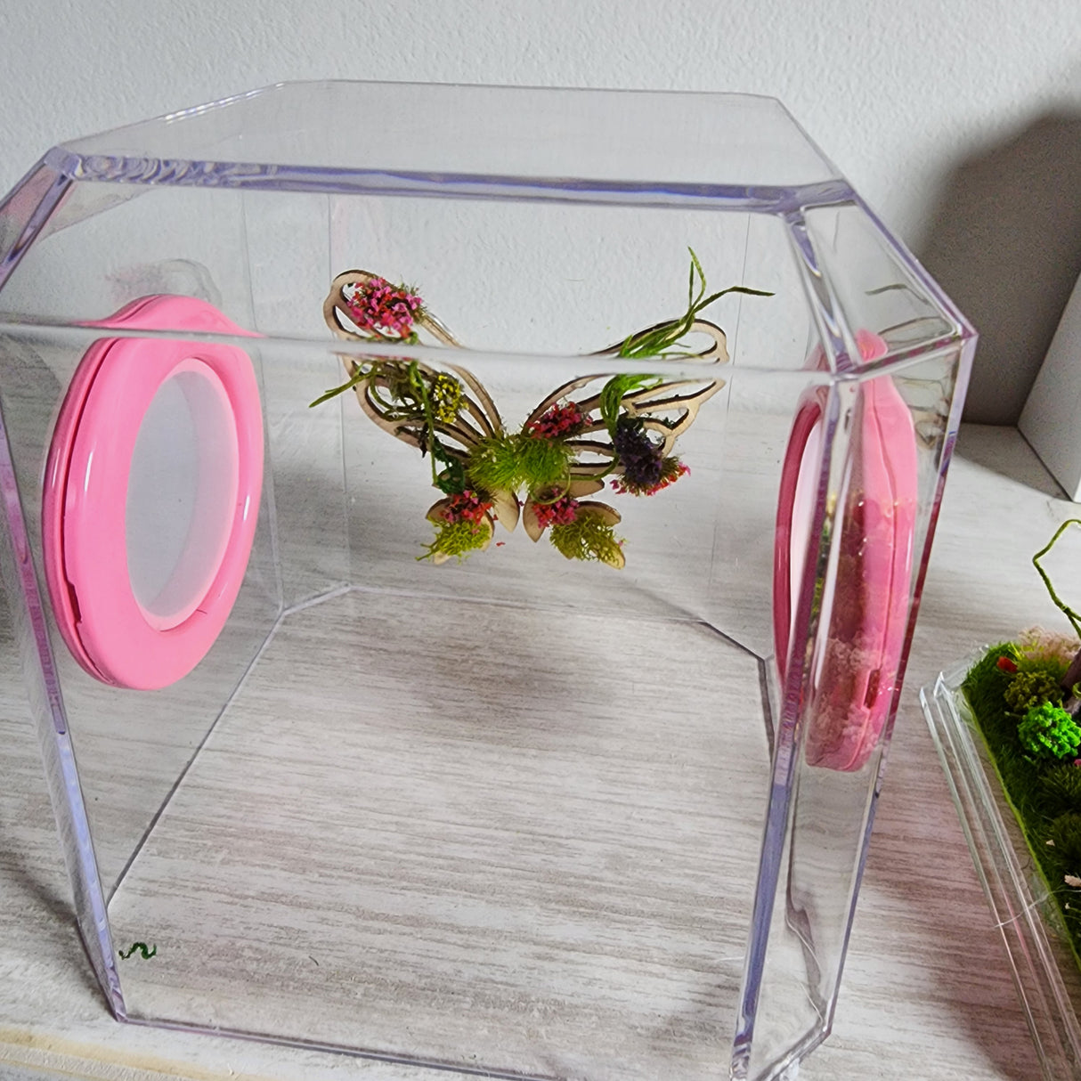 Den Flat Top 4x4x4 Jumping Spider Enclosure (holds fruit flies)