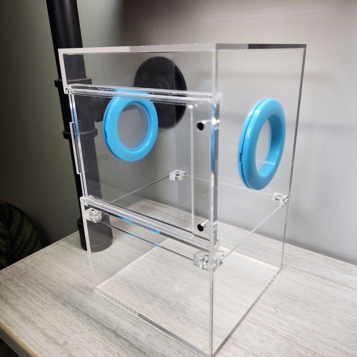 Large Flat Top Magnetic 5x5x8 Front Opening Jumping Spider Enclosure