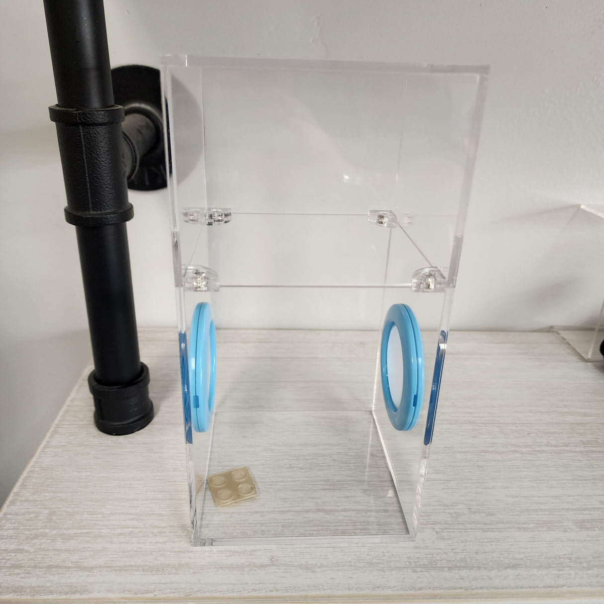 Medium Flat Top Magnetic 4x4x8 Jumping Spider Enclosure (holds fruit flies)