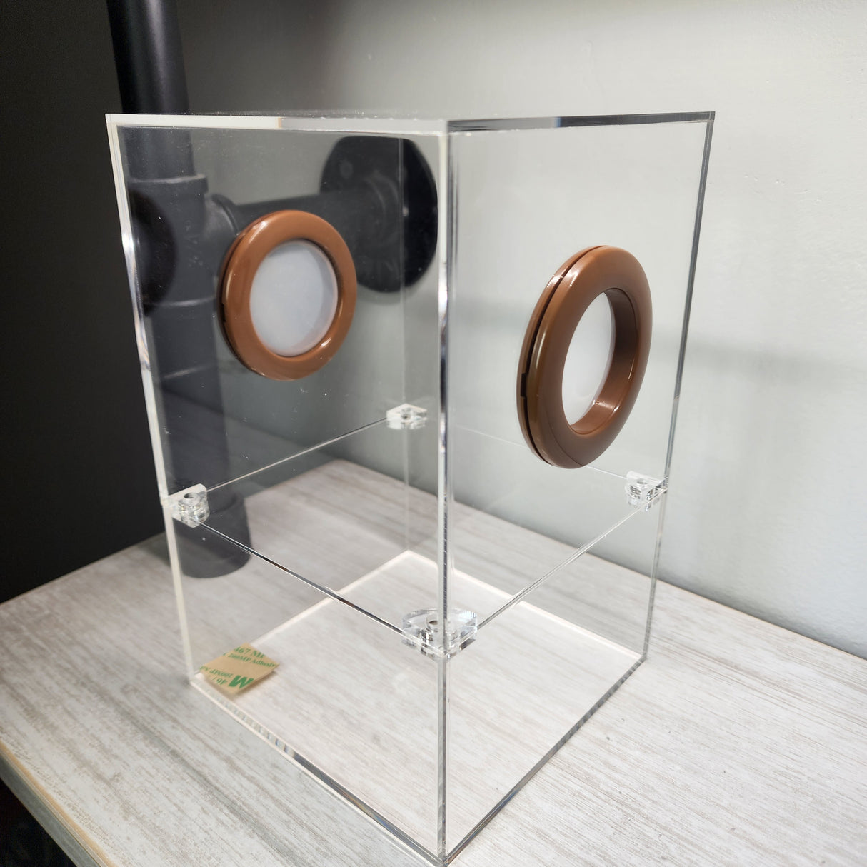 Large Flat Top Magnetic 5x5x8 Jumping Spider Enclosure (holds fruit flies)