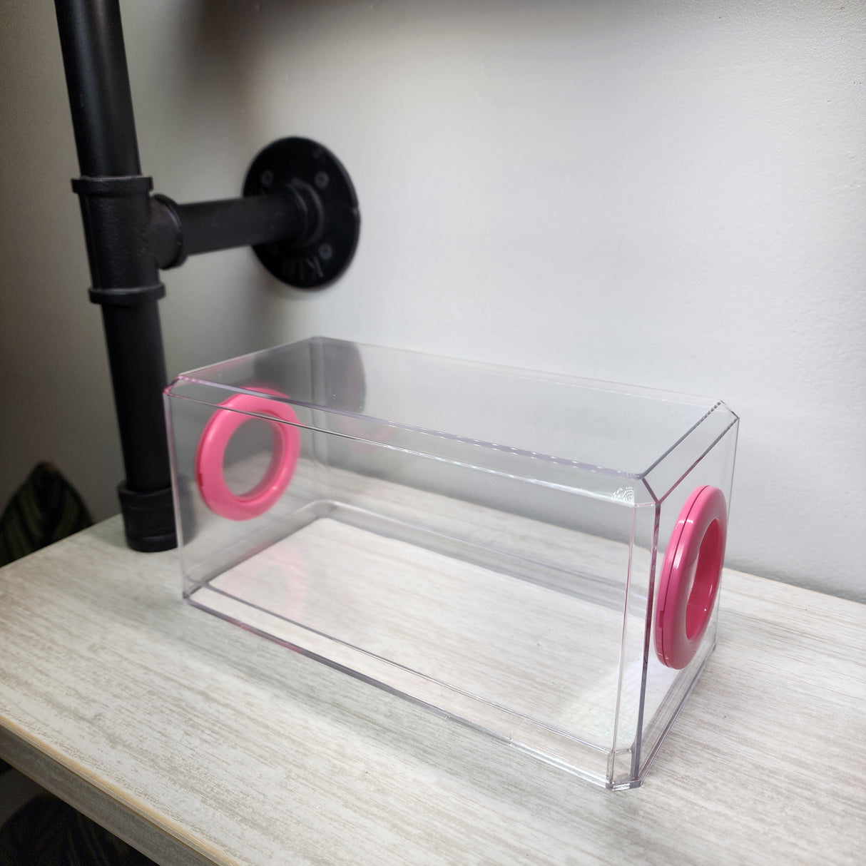 Phid Flat Sling Nursery Jumping Spider Enclosure 8.5x4x4(holds fruit flies)