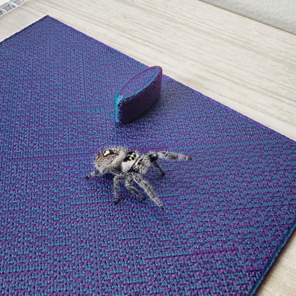 Removable floor insert for the 5x5x8 Magnetic Flat Top