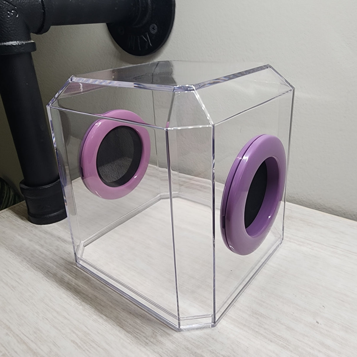 Den Flat Top 4x4x4 Jumping Spider Enclosure (holds fruit flies)