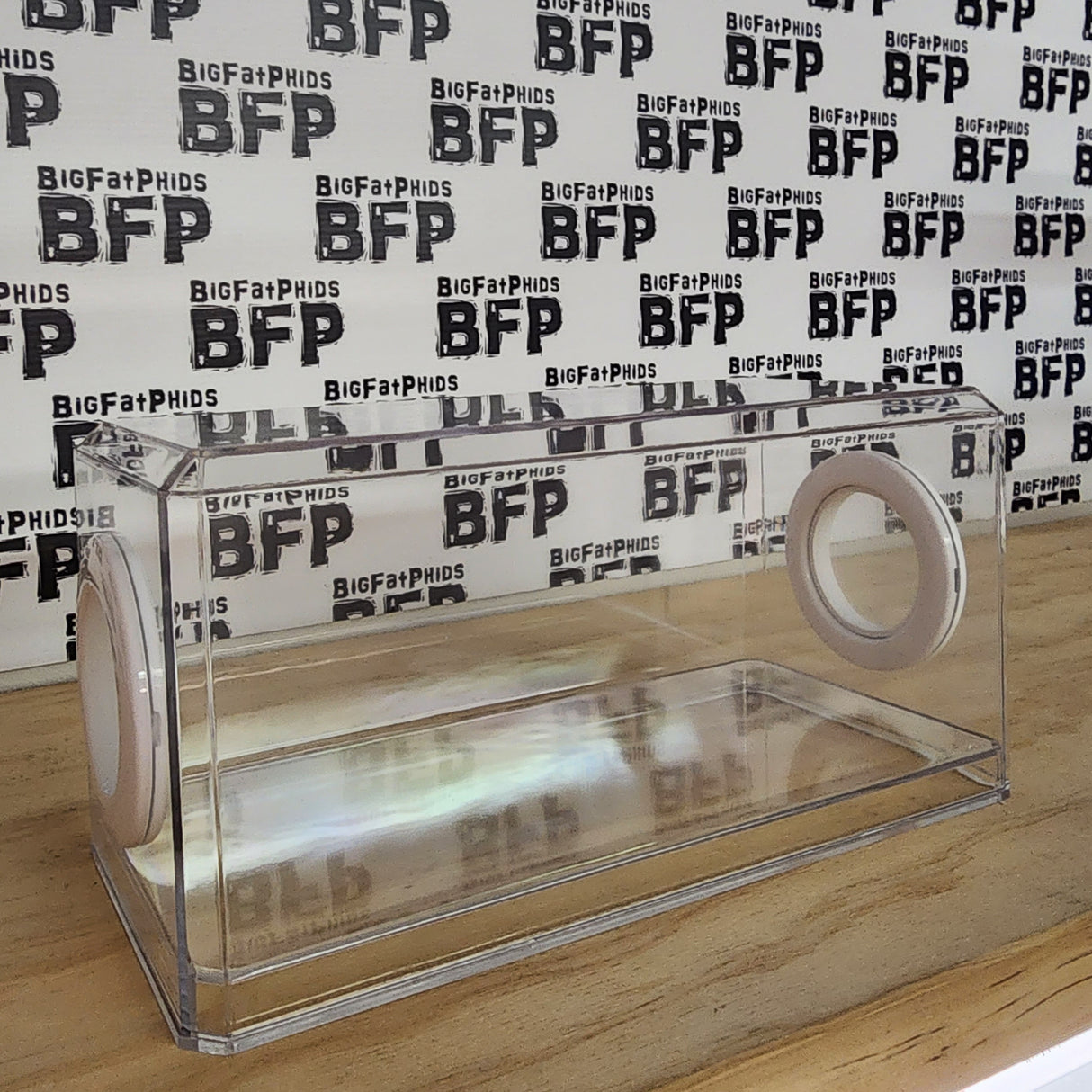 Phid Flat Sling Nursery Jumping Spider Enclosure 8.5x4x4(holds fruit flies)