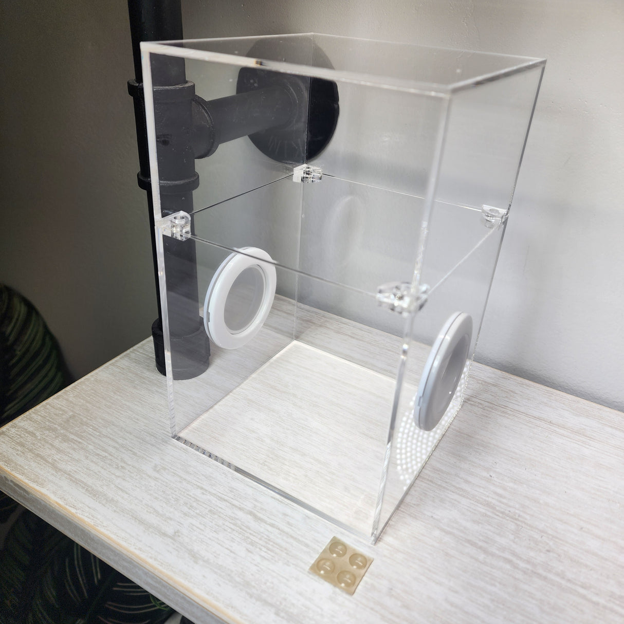 Large Flat Top Magnetic 5x5x8 Jumping Spider Enclosure (holds fruit flies)