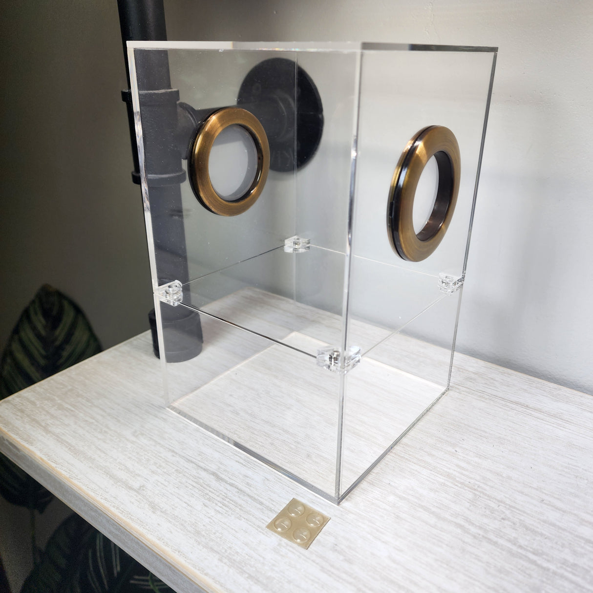 Large Flat Top Magnetic 5x5x8 Jumping Spider Enclosure (holds fruit flies)