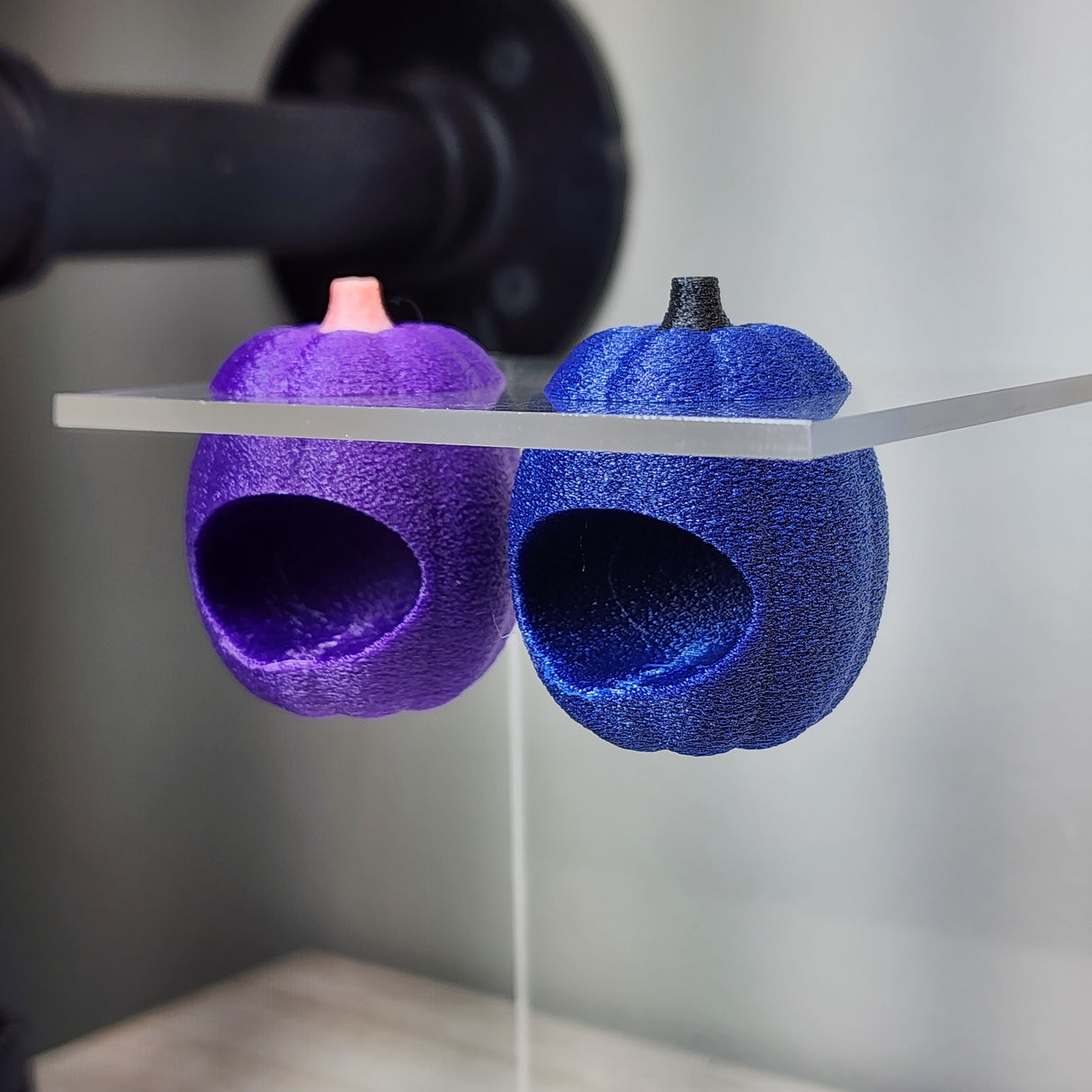 Baby Pumpkin Nesting Hides for Jumping Spiders