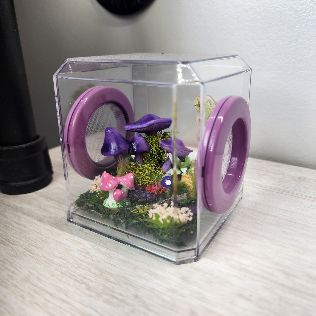 Mini Den Flat Top 3x3x3 Jumping Spider Enclosure (holds fruit flies)