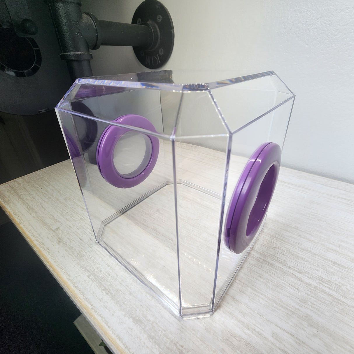 Den Flat Top 4x4x4 Jumping Spider Enclosure (holds fruit flies)