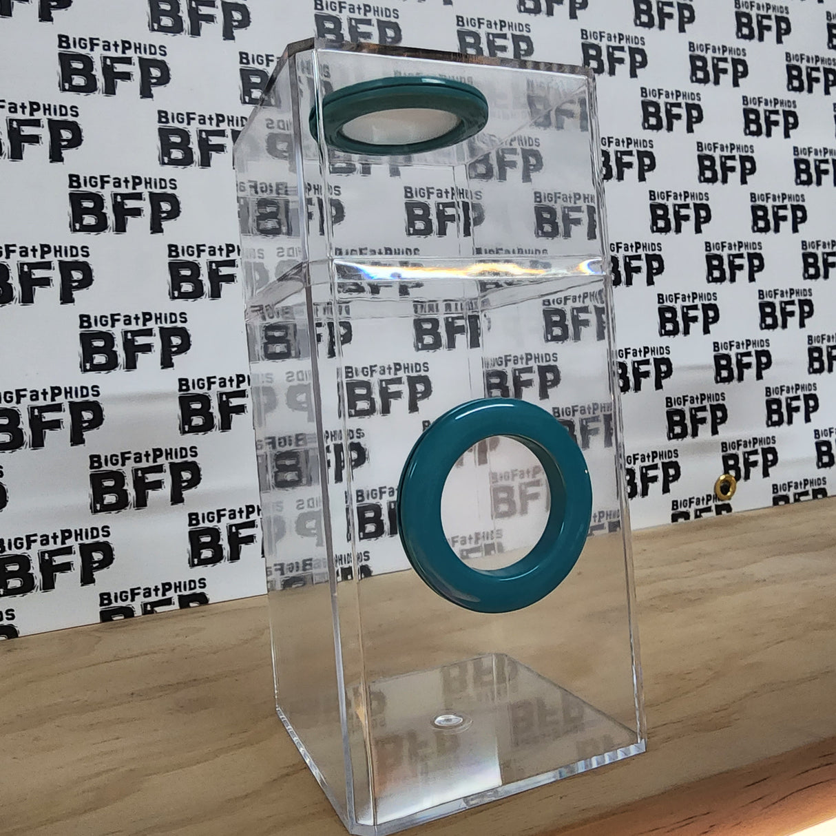 B-STOCK Classic Dual Vent Spider Condo Jumping Spider Enclosure (holds Fruitflies)