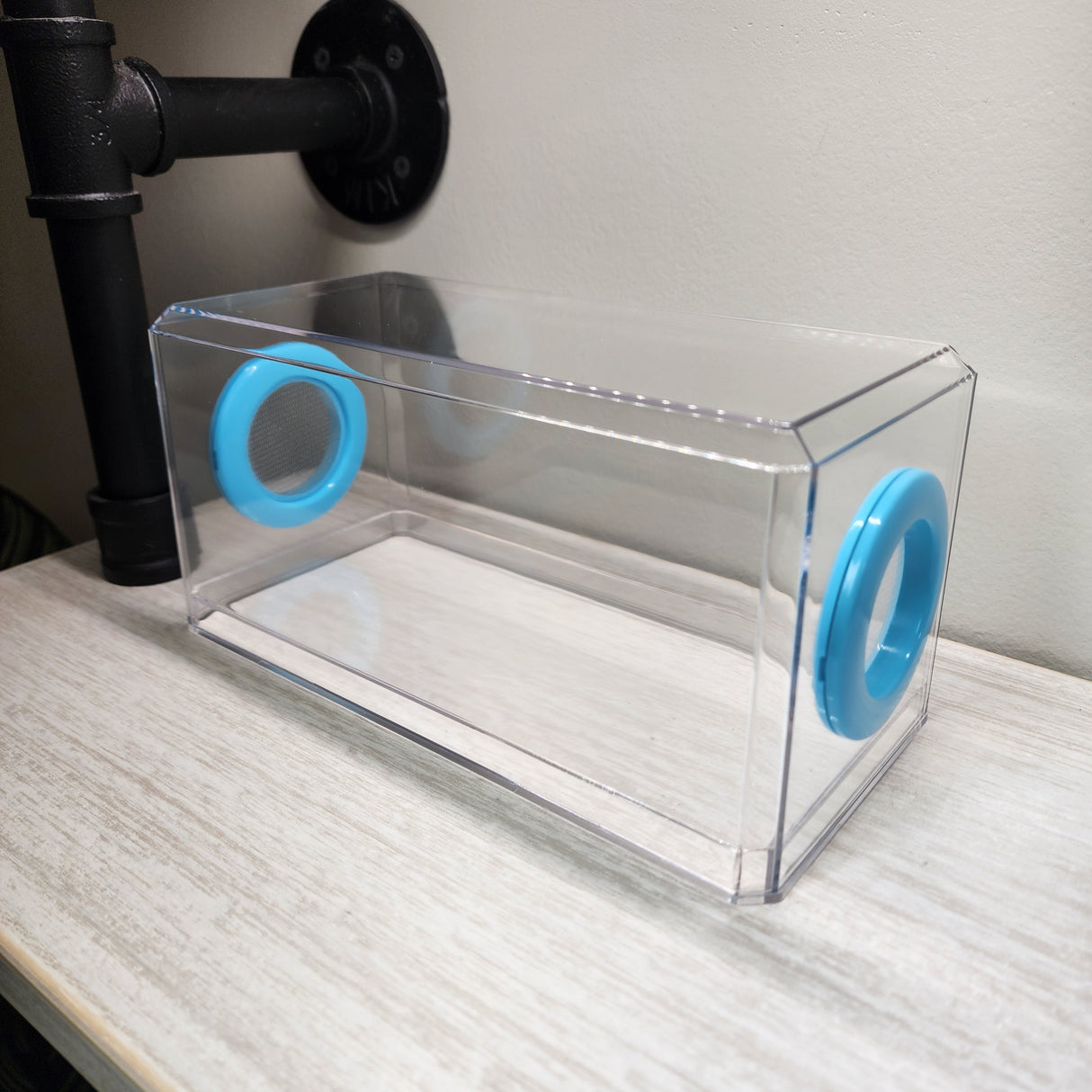 Phid Flat Sling Nursery Jumping Spider Enclosure 8.5x4x4(holds fruit flies)