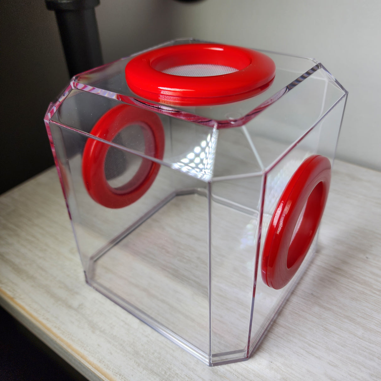 Den Tri Vent 4x4x4 Jumping Spider Enclosure (holds fruit flies)