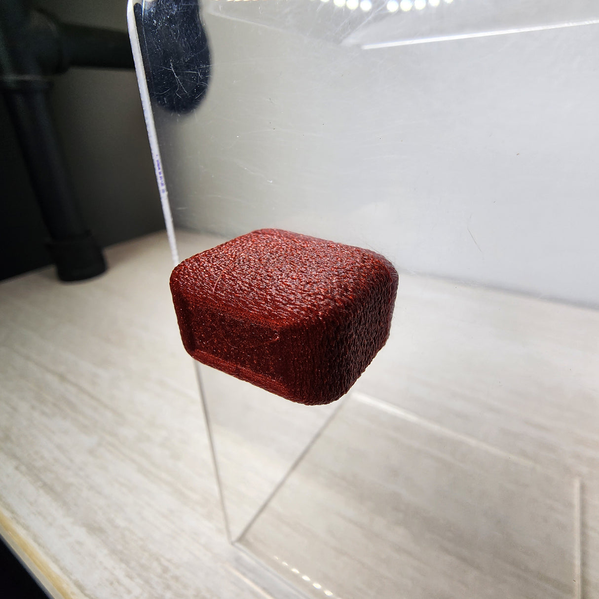 Fuzzy Block for Jumping Spiders