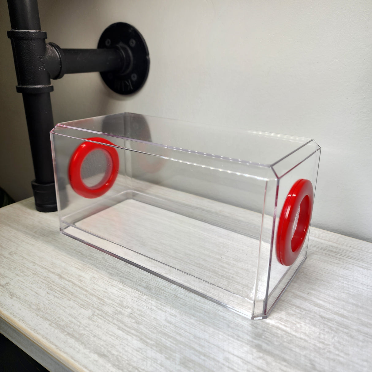 Phid Flat Sling Nursery Jumping Spider Enclosure 8.5x4x4(holds fruit flies)