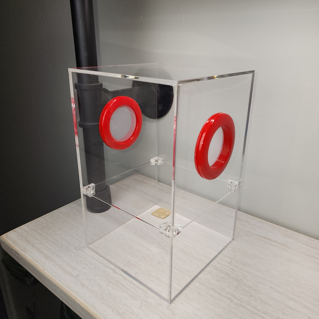 Large Flat Top Magnetic 5x5x8 Jumping Spider Enclosure (holds fruit flies)