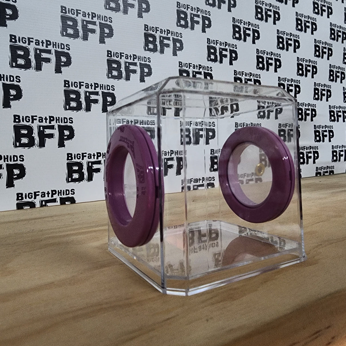 Mini Den Flat Top 3x3x3 Jumping Spider Enclosure (holds fruit flies)