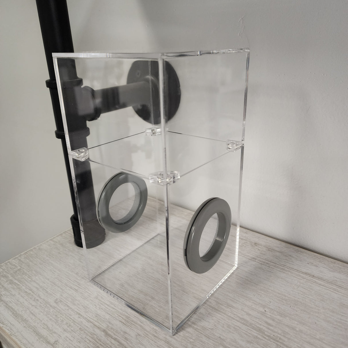 Medium Flat Top Magnetic 4x4x8 Jumping Spider Enclosure (holds fruit flies)