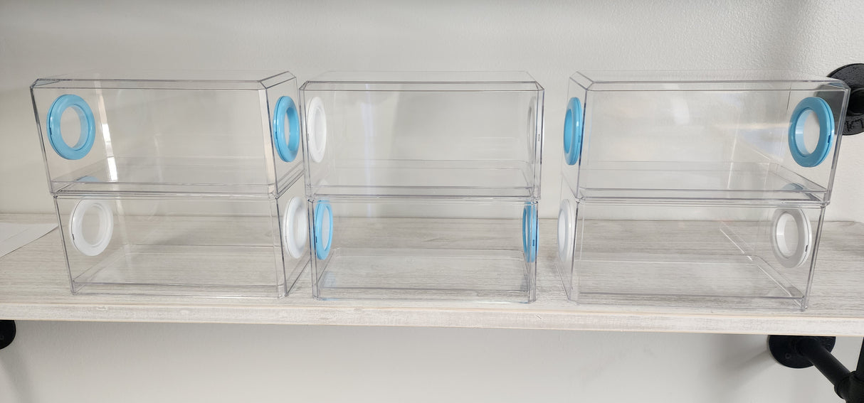 Phid Flat Sling Nursery Jumping Spider Enclosure 8.5x4x4(holds fruit flies)