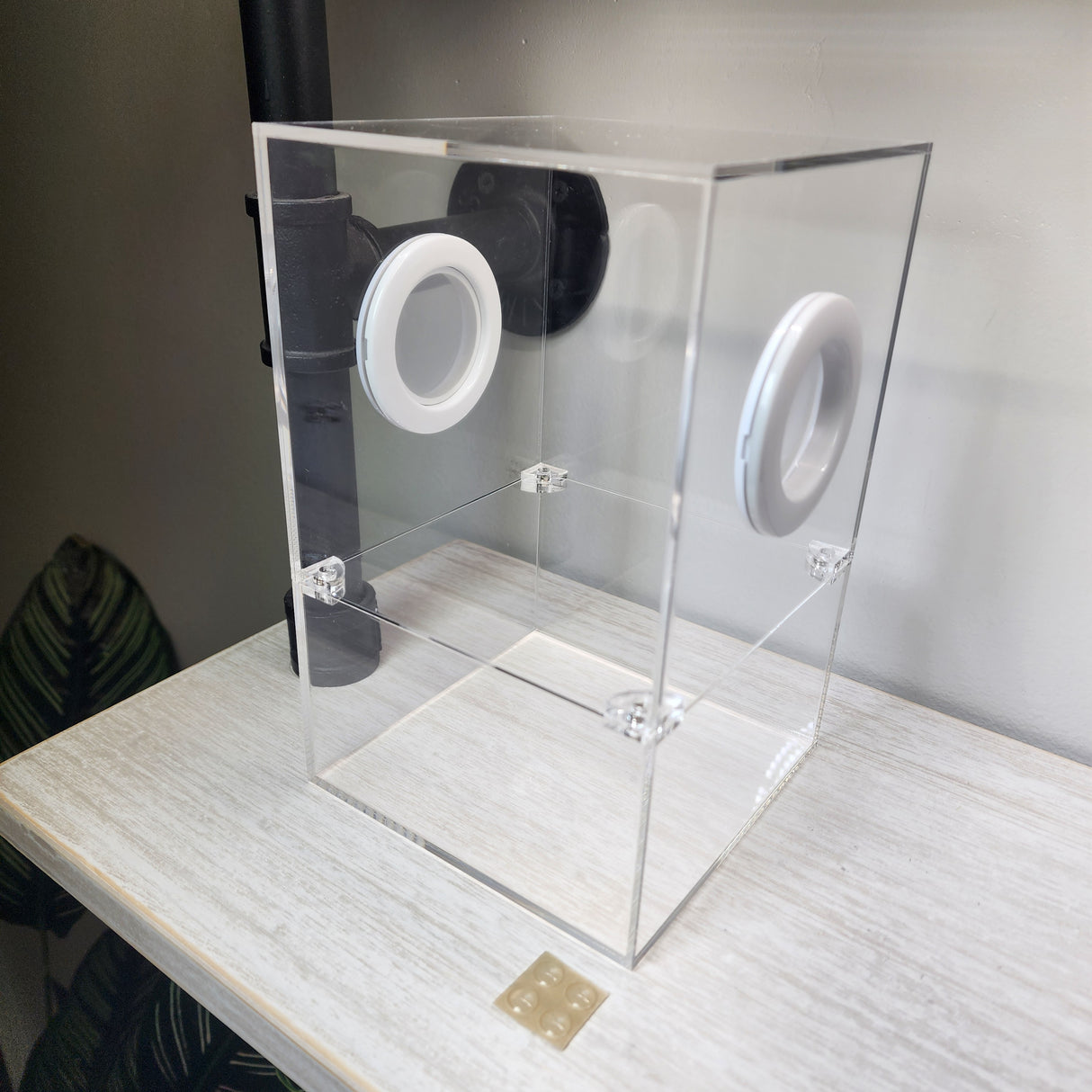 Large Flat Top Magnetic 5x5x8 Jumping Spider Enclosure (holds fruit flies)