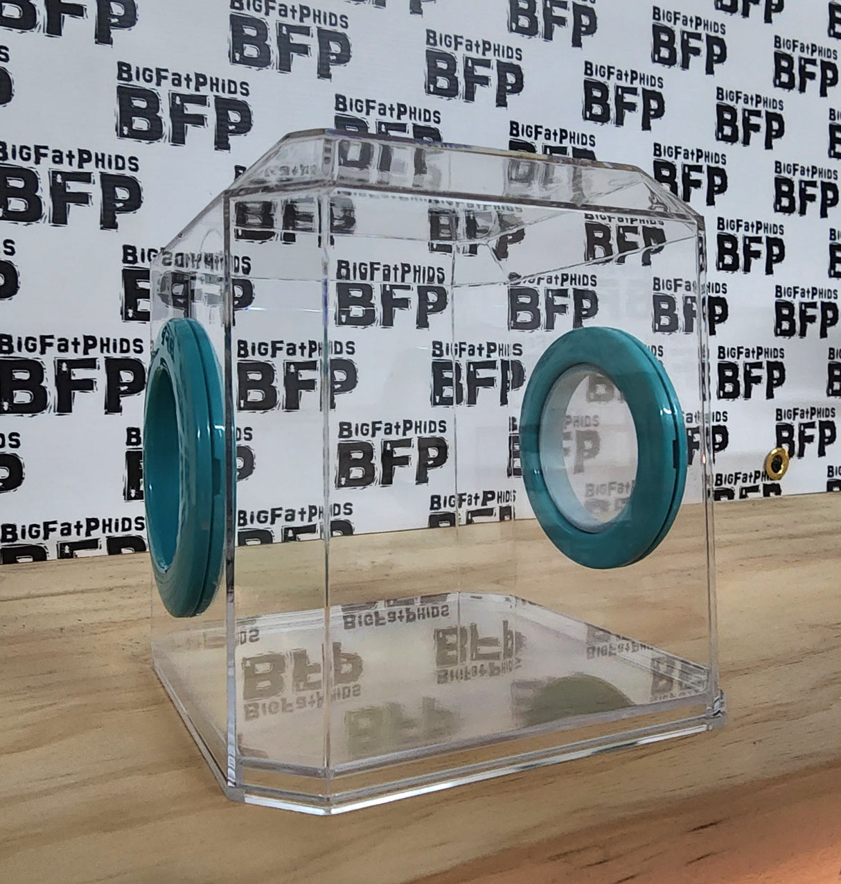 Den Flat Top 4x4x4 Jumping Spider Enclosure (holds fruit flies)