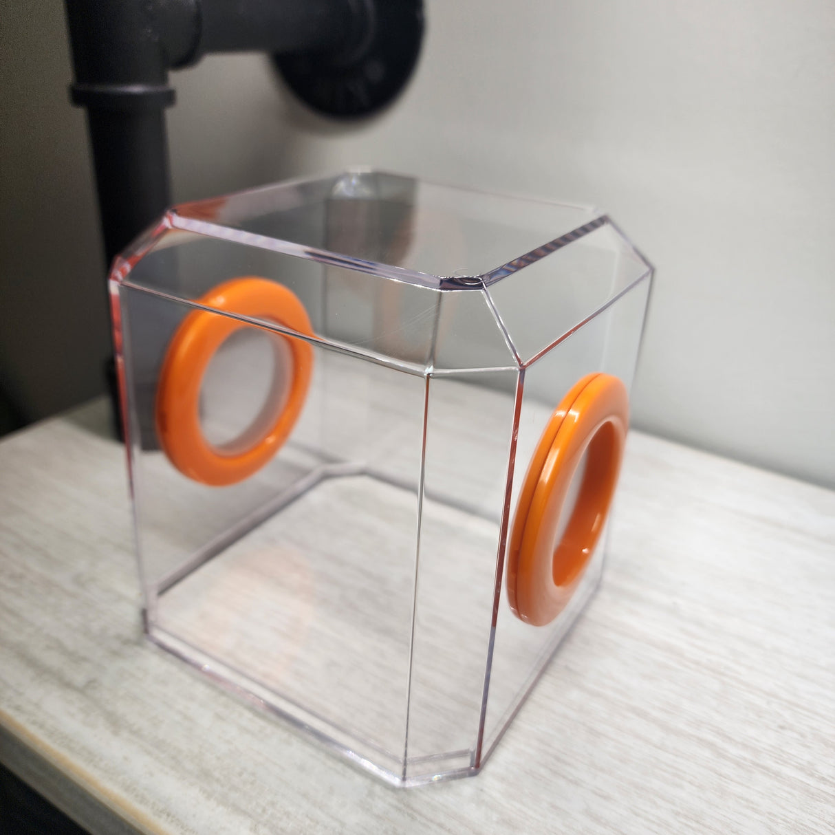 Den Flat Top 4x4x4 Jumping Spider Enclosure (holds fruit flies)