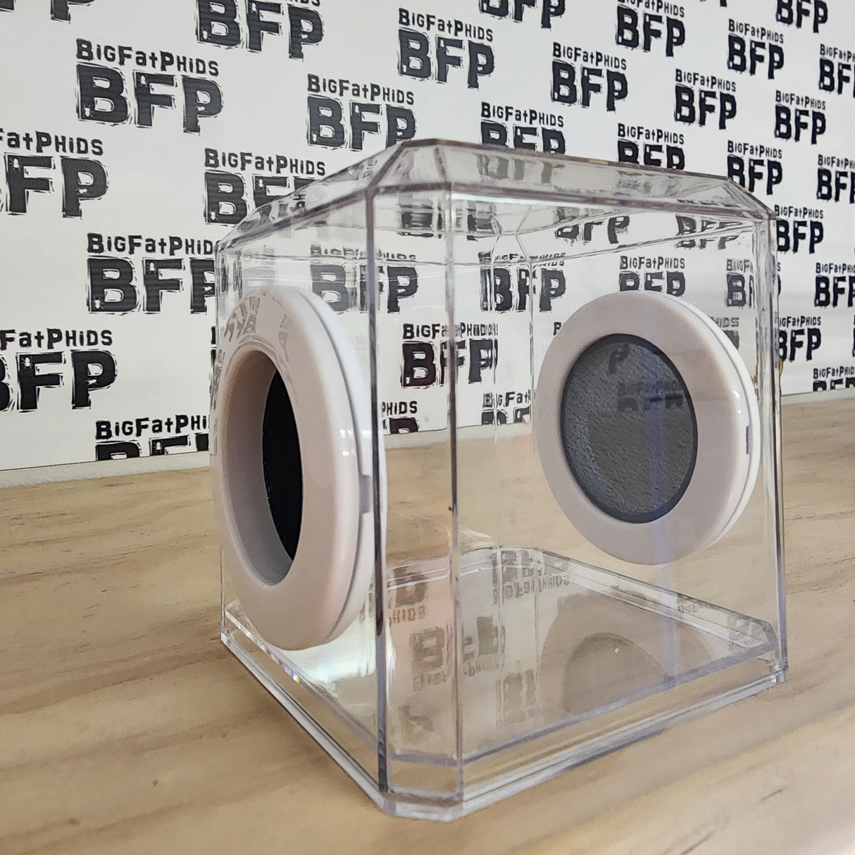 Mini Den Flat Top 3x3x3 Jumping Spider Enclosure (holds fruit flies)