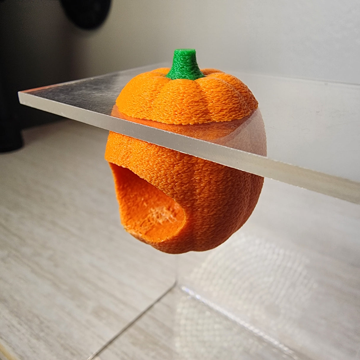 Baby Pumpkin Nesting Hides for Jumping Spiders