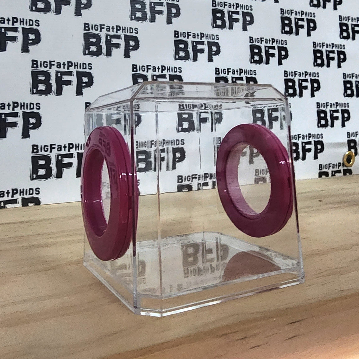 Mini Den Flat Top 3x3x3 Jumping Spider Enclosure (holds fruit flies)