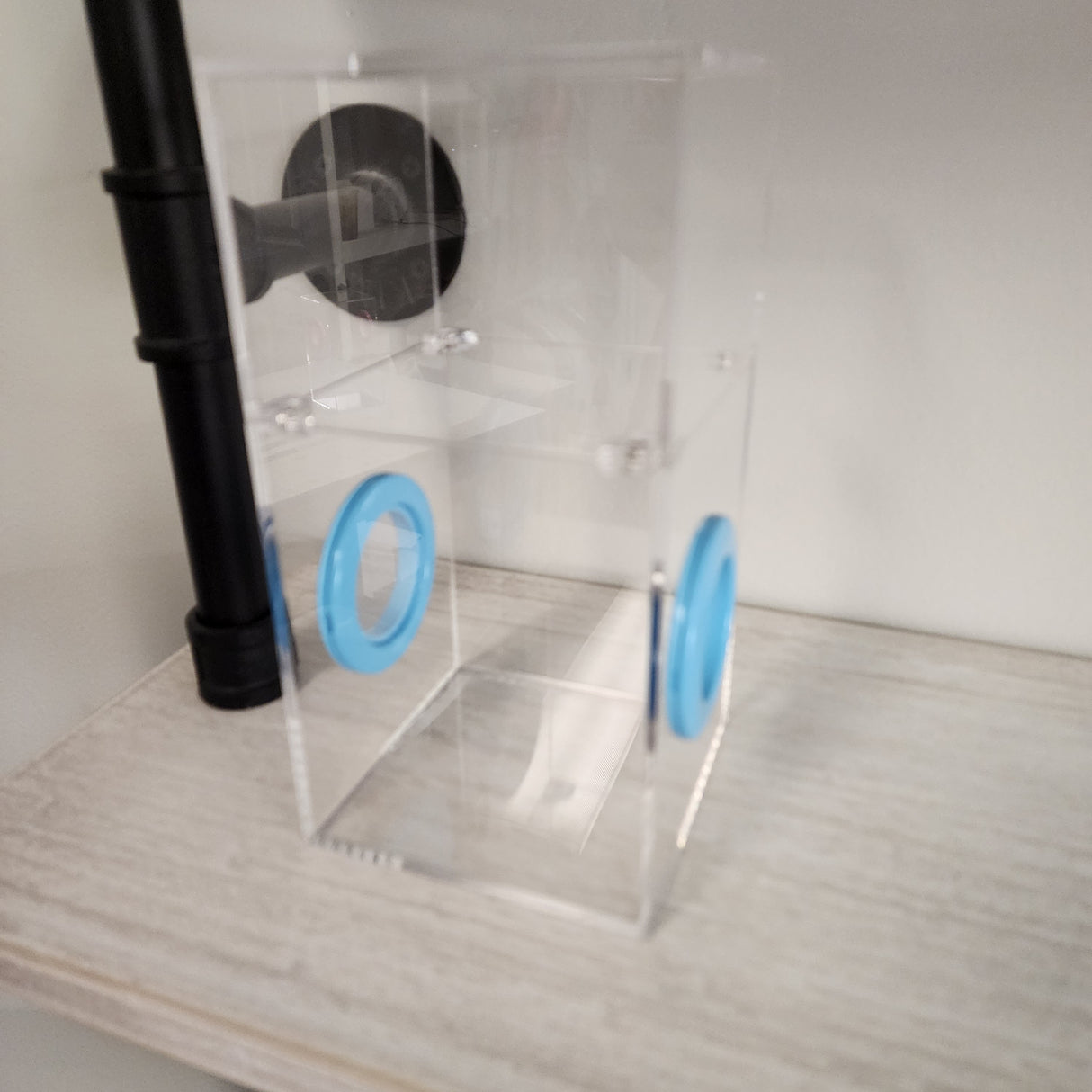 Medium Flat Top Magnetic 4x4x8 Jumping Spider Enclosure (holds fruit flies)