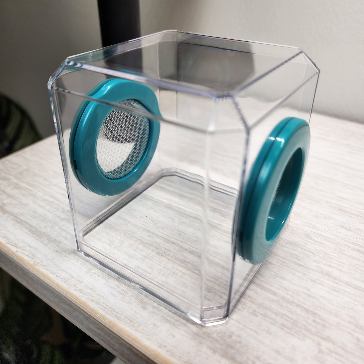 Mini Den Flat Top 3x3x3 Jumping Spider Enclosure (holds fruit flies)