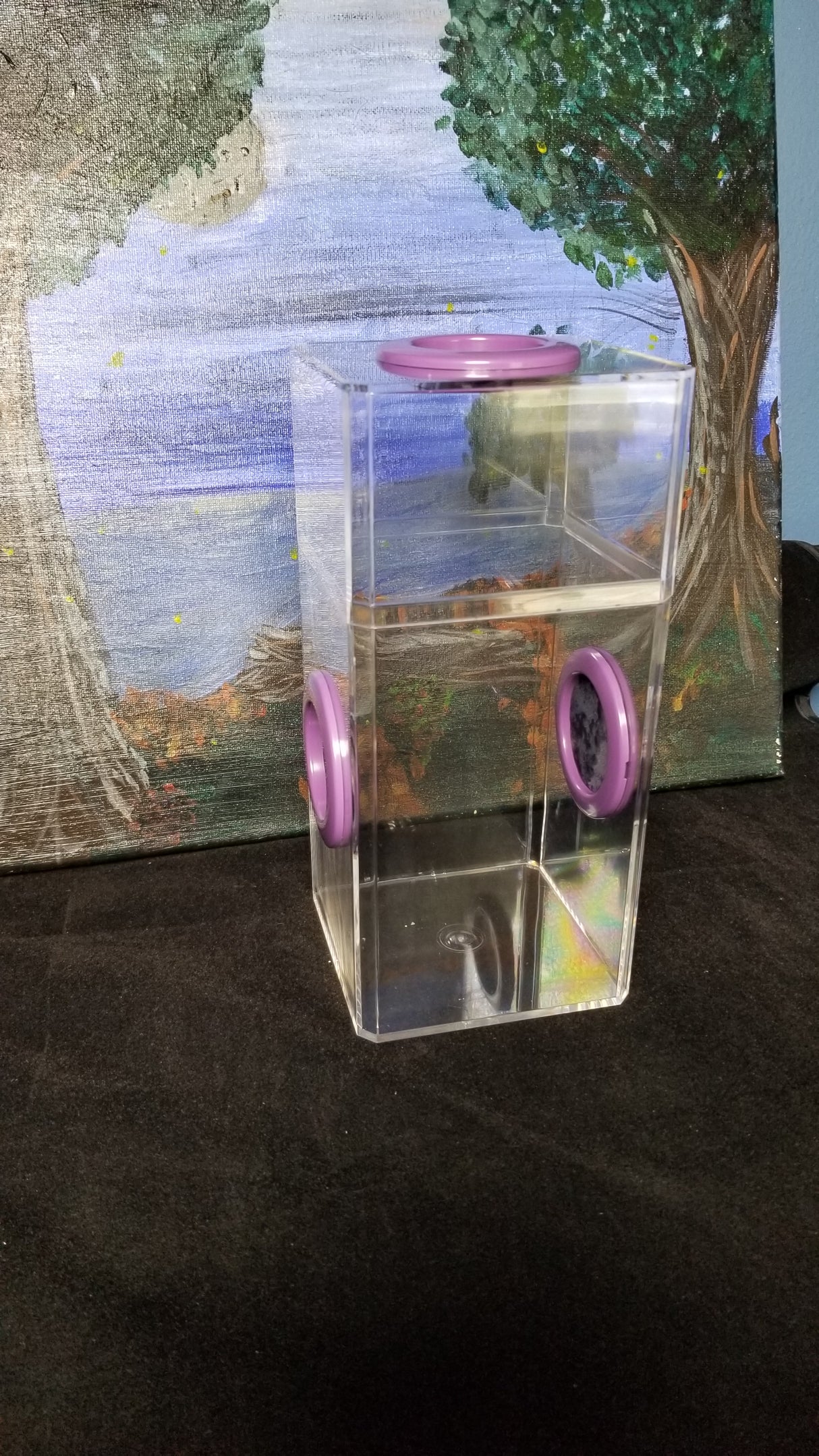 B-STOCK Classic Tri-Vent Spider Condo Jumping Spider Enclosure (holds fruit flies)