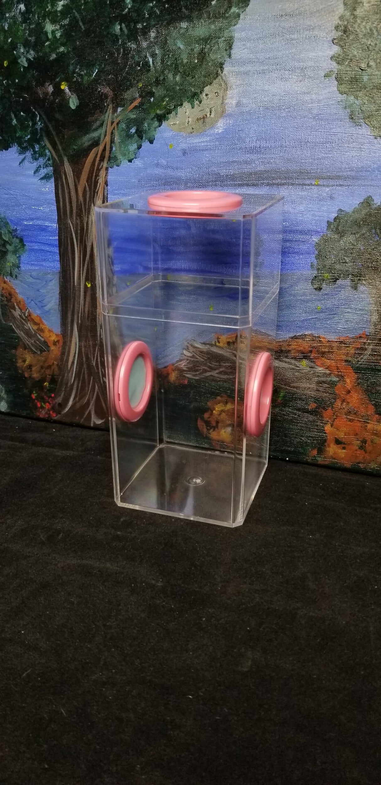 B-STOCK Classic Tri-Vent Spider Condo Jumping Spider Enclosure (holds fruit flies)