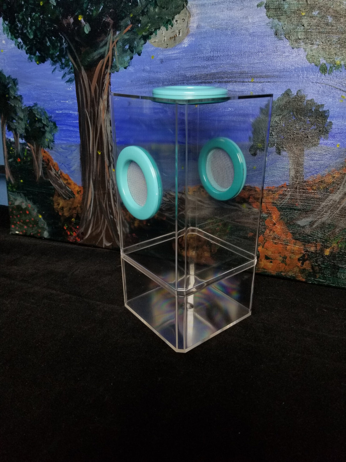 B-STOCK Flip Top Tri-Vent Spider Condo Jumping Spider Enclosure (holds Fruitflies)