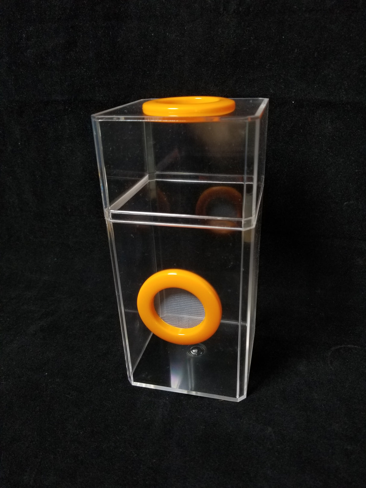B-STOCK Classic Dual Vent Spider Condo Jumping Spider Enclosure (holds Fruitflies)