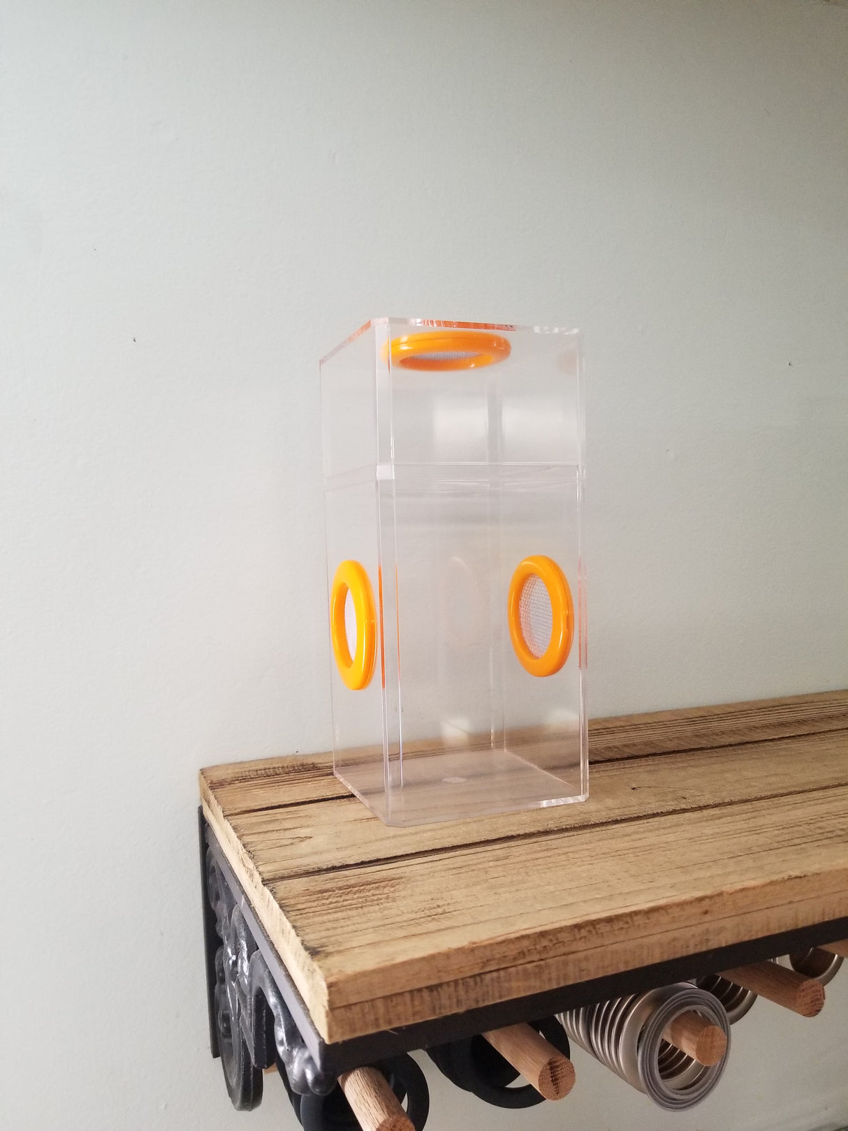 B-STOCK Classic Tri-Vent Spider Condo Jumping Spider Enclosure (holds fruit flies)