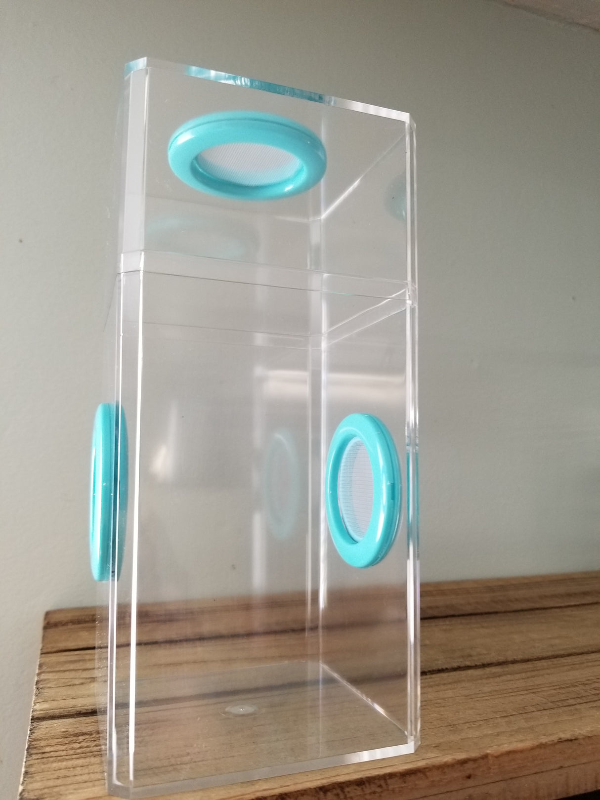 B-STOCK Classic Tri-Vent Spider Condo Jumping Spider Enclosure (holds fruit flies)