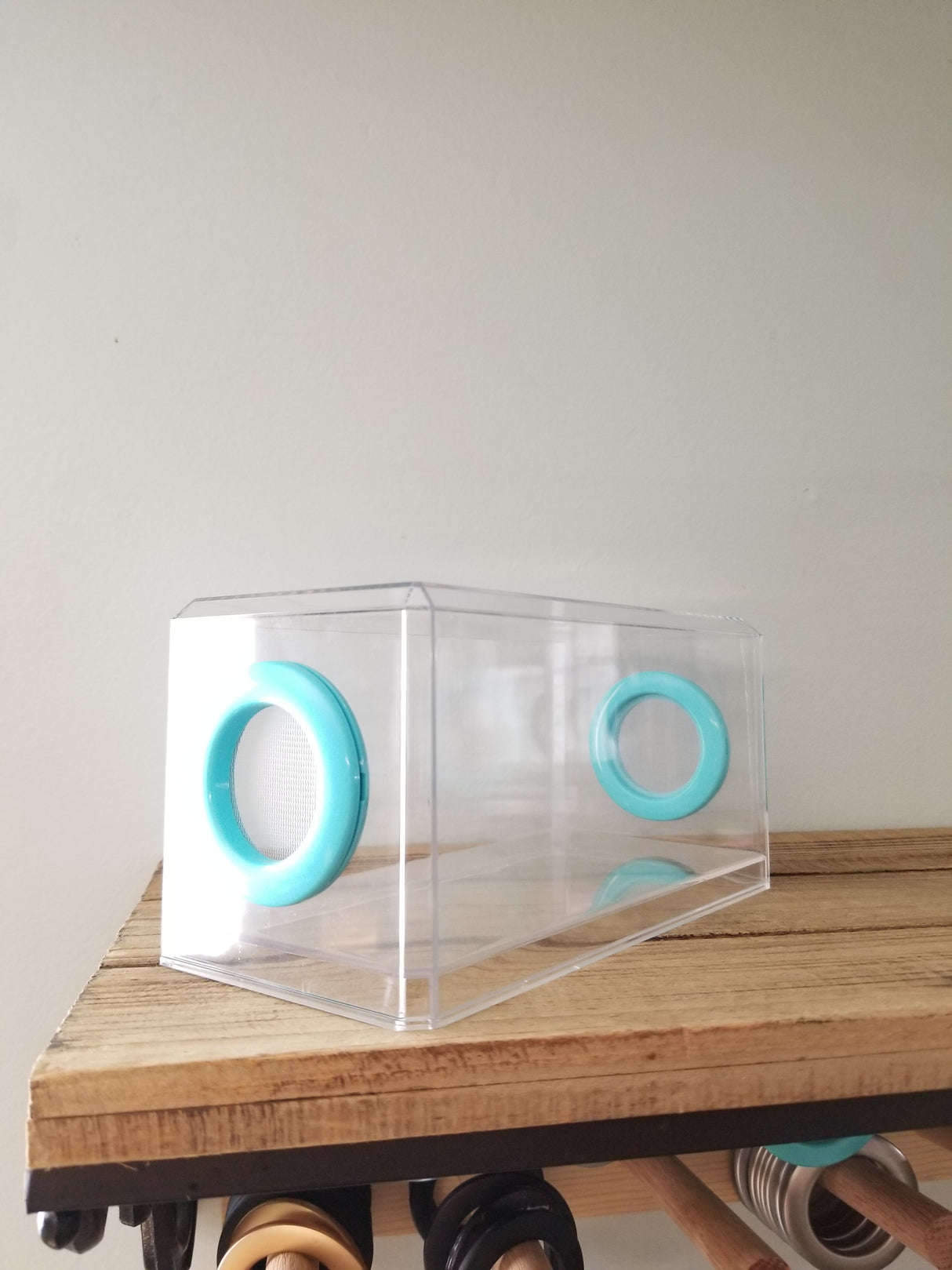 Phid Flat Sling Nursery Jumping Spider Enclosure 8.5x4x4(holds fruit flies)