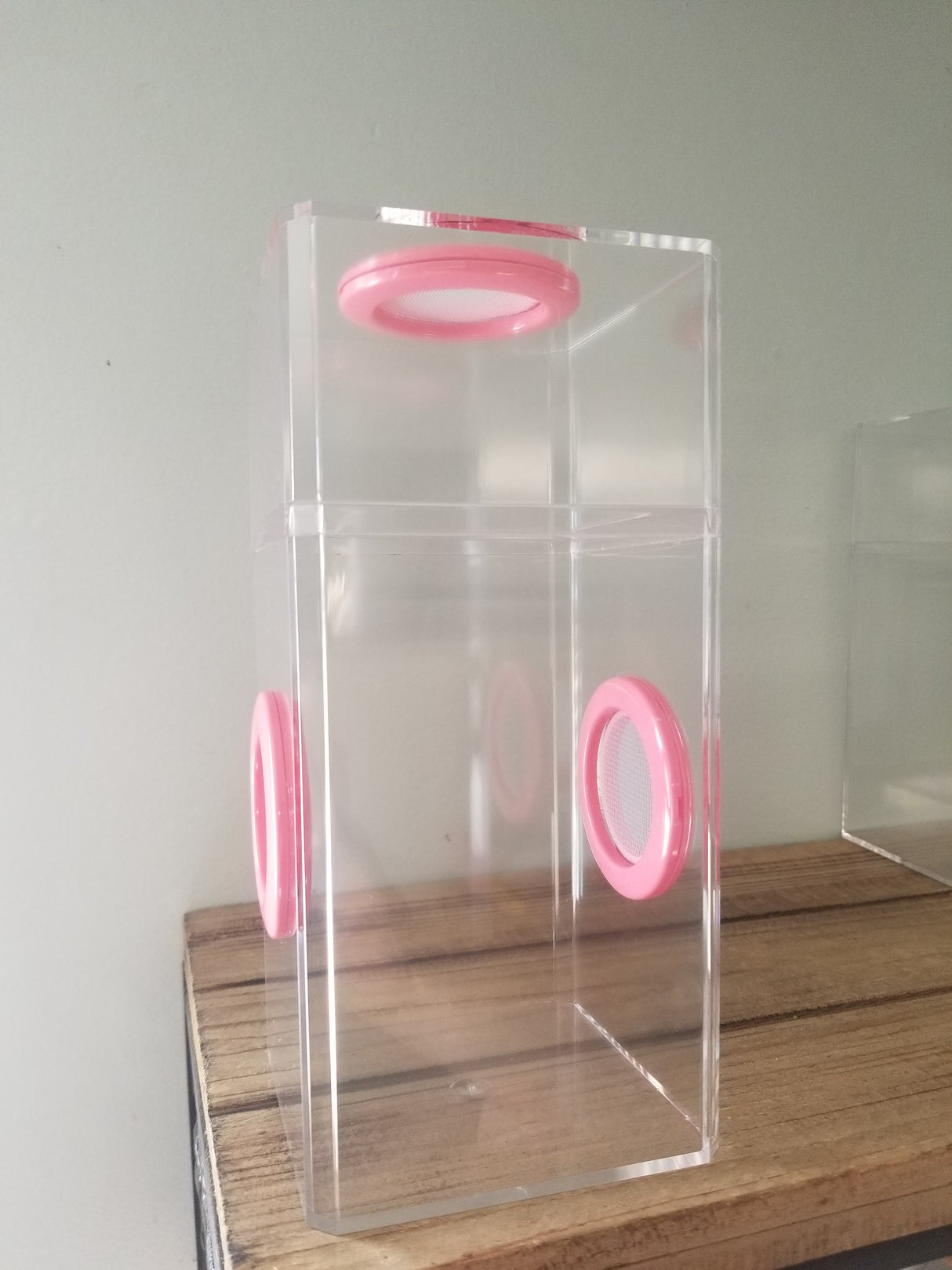 B-STOCK Classic Tri-Vent Spider Condo Jumping Spider Enclosure (holds fruit flies)